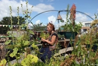 বিশ্বের সবচেয়ে আকর্ষণীয় পাঁচটি চাকরি