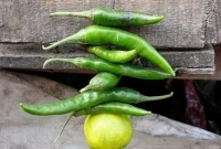 মরিচ-লেবু সুতোয় বেঁধে ঝুলিয়ে রাখলে জীবন ও স্বাস্থ্যে কী প্রভাব ফেলতে পারে, ভাবতেও পারবেন না!