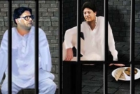 কারাগারে খাওয়া দাওয়া ছেড়ে ‘চোখের জলে মনমরা’ তাপস পাল