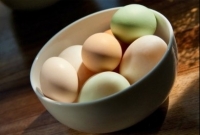 হাঁস না মুরগি, কার ডিম বেশি পুষ্টিকর?