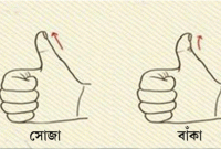আপনার বুড়ো আঙুলে রয়েছে এই লক্ষণ? তা হলে ভাগ্য আপনার হাতের মুঠোয়