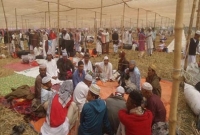 টঙ্গীর বিশ্ব ইজতেমা ময়দানে এক মুসল্লির মৃত্যু