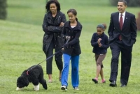 হোয়াইট হাউসের অতিথিকে কামড়ে দিল ওবামার কুকুর!