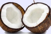 ওজন কমাতে নারকেল খান