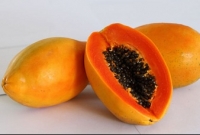 জেনে নিন পেঁপে আমাদের শরীরের জন্য কত উপকারী