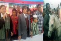 নওগাঁর নজিপুরে ঐতিহাসিক ঘোড়দৌড় প্রতিযোগিতা অনুষ্ঠিত নওগাঁর নজিপুরে ঐতিহাসিক ঘোড়দৌড় প্রতিযোগিতা অনুষ্ঠিত