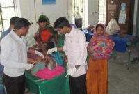 বাগেরহাটে কুকুরের কামড়ে ৫০ জন আহত