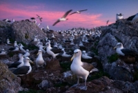 সাধারণ মানুষ যেতে পারেন না পৃথিবীর এই ৮ জায়গায়