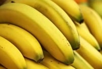 পৃথিবী থেকে যে ছয়টি জিনিস দ্রুত ফুরিয়ে যাচ্ছে!