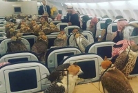 ৮০টি বাজ পাখি নিয়ে বিমান সফর!