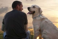 এরাই আবেগ-অনুভূতি বোঝে!