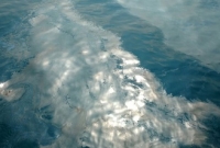 দুই জাহাজের সংঘর্ষ, সমুদ্রে ছড়িয়ে পড়ল তেল