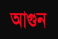আগুনে পুড়ে ছাই ২ হাজার মুরগি আগুনে পুড়ে ছাই ২ হাজার মুরগি