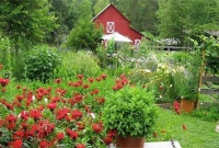 ১৩ একরের ফার্মহাউস চান? তাহলে ২০০ শব্দের প্রবন্ধ লিখে পাঠিয়ে দিন