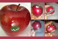 আপেলের নামে এ কী খাচ্ছেন? জানলে শিউরে উঠবেন