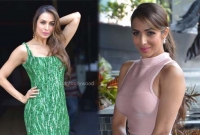 আইটেম গান নিয়েই খুশি মালাইকা