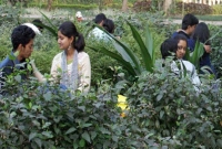 সাবধান! প্রেম দিবসে যুগলে ধরা পড়লেই বিয়ের হুমকি!