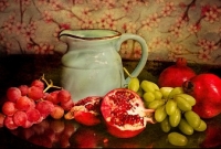 শরীরকে হেলদি ও ফিট রাখতে ডায়েটে রাখুন এই ৫ খাবার