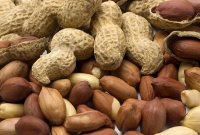 যে কারনে প্রতিদিন এক মুঠো বাদাম খাওয়া উচিত