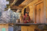 হিমালয়ের জঙ্গলে একাই আছেন ৮৩ বছরের বৃদ্ধা