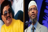 জাকির নায়েককে টাকা দিতেন দাউদ ইব্রাহিম, চাঞ্চল্যকর তথ্য ফাঁস 