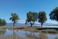 মিয়ানমারের রাখাইন রাজ্যে নিরাপত্তা বাহিনীর সাথে স্থানীয়দের সংঘর্ষ