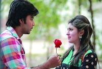 'আমি তোমাকে ভালোবাসি' ৭০টি ভাষায় শিখে নিন