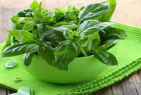 এই পাতার রসে কিডনির পাথর গলে বেরিয়ে যাবে!