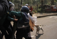 জাতীয় প্রেসক্লাব এলাকায় পুলিশের কাছ থেকে তরুণীকে ছাড়িয়ে নেয়ার চেষ্টা কুকুরের!
