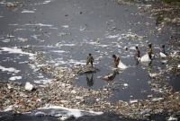 দূষিত পরিবেশের কারণে বছরে ১৭ লাখ শিশুর মৃত্যু: বিশ্ব স্বাস্থ্য সংস্থা