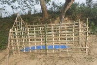 আম্মু আমাকে বাঁচাও আমি খুব কষ্ট পাচ্ছি,  আম্মু একটু ফিরেও তাকালো না আমার দিকে!