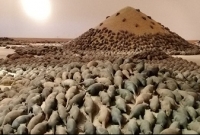 ইঁদুর মারতে তের কোটি টাকার প্রকল্প