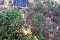 ভারত-বাংলাদেশ সীমান্তে বিশাল সুড়ঙ্গের সন্ধান, তোলপাড়