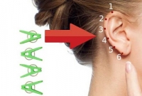 ওষুধ না খেয়ে শুধু কানে ১ মিনিট চাপ দিলে সারবে অনেক রোগ!