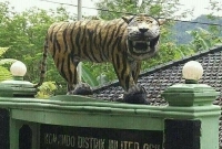 ইন্দোনেশিয়ার বাঘের মূর্তি ভেঙে দিয়েছে দেশটির সেনাবাহিনী