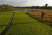  আস্ত একটি ট্রেনের মালিক এই কৃষক