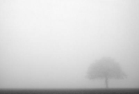 অনল কাব্য