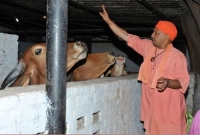 একজন মুসলিমকেই গুরুভাই মানতেন যোগী!