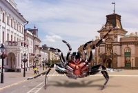 চলন্ত যমদূত এই মাকড়সা, কিন্তু অবধারিত মৃত্যু থেকে বাঁচাতে পারে এ-ই