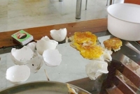 প্লাস্টিক ডিম আর গুজব নয়! ব্যবসায়ীকে গ্রেফতার করল পুলিশ