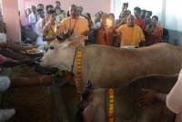 গরু জবাই করলে গুজরাটে যাবজ্জীবন কারাদণ্ড