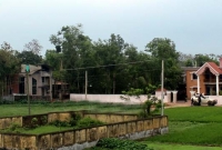 নজর কাড়া সুন্দর বাড়িটি এখন ‘অভিশপ্ত’