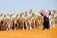  ব্যতিক্রমী সৌদি আরব