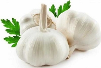 সকালে খালি পেটে রসুন খাওয়ার উপকারিতা