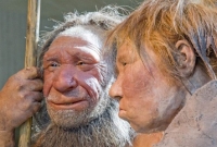 মানুষখেকো ছিল আমাদের আদিপুরুষ নিয়ানডারথাল!