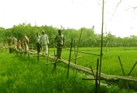 একটি সেতুর আশায় ৫০ বছর অপেক্ষায় এই গ্রামের মানুষ!