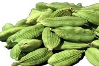 এলাচের না জানা যতো উপকারিতা জেনে নিন