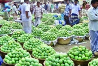 আমের কেজি ২ টাকা!