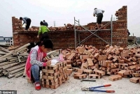  ইটের স্তুপে পড়াশোনার সাড়া জাগানো কাহিনী!