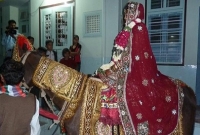 ঘোড়ায় চেপে বিয়ে করতে চললেন এই নারী!